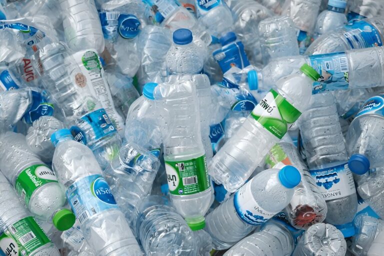 Food & Beverage Effluents